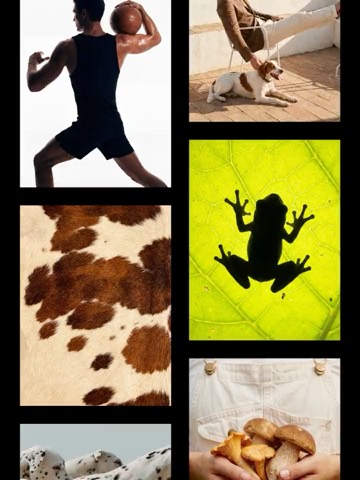 Marquee 16 template preview